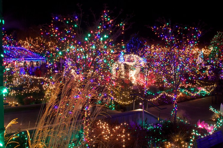 VanDusen Festival of Lights