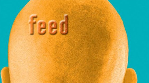 feed-head (1)