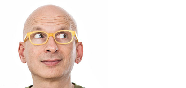 Seth Godin